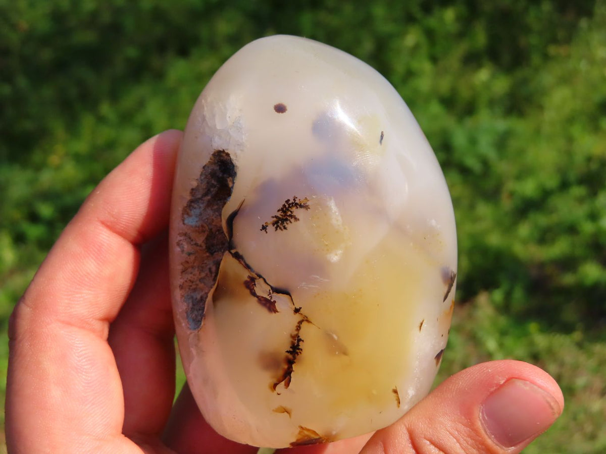 Polished Dendritic Agate Free Forms & x 1 Snow Agate x 6 From Madagascar - TopRock