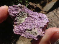 Natural Small Rough Stichtite Specimens  x 186 From Barberton, South Africa - TopRock