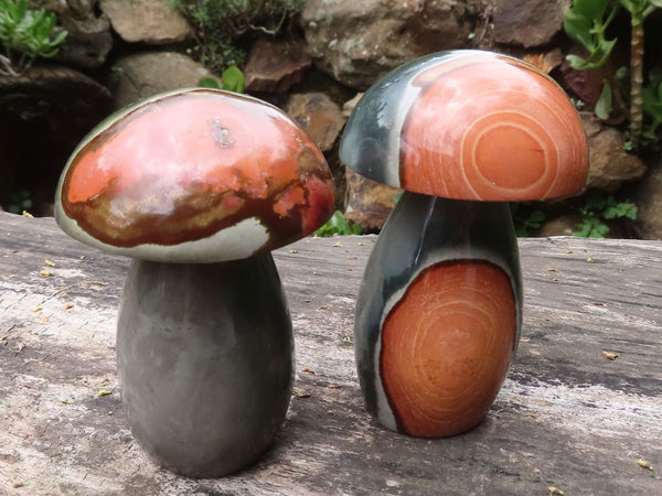 Polished Stunning Polychrome / Picasso Jasper Mushrooms  x 6 From Madagascar - TopRock