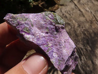 Natural Small Rough Stichtite Specimens  x 186 From Barberton, South Africa - TopRock
