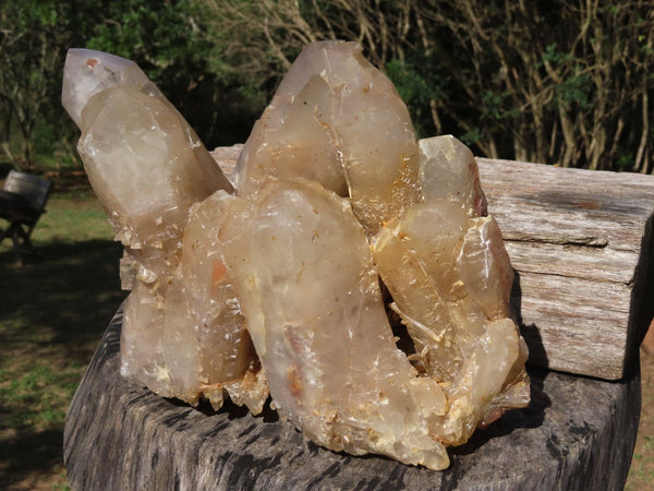 Polished XL Multi Terminated Quartz Cluster x 1 From Angola - TopRock