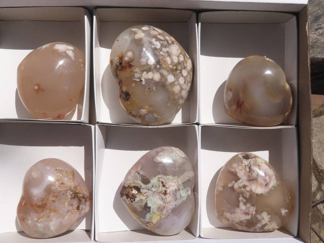 Polished Coral Flower Agate Hearts x 6 From Madagascar - TopRock