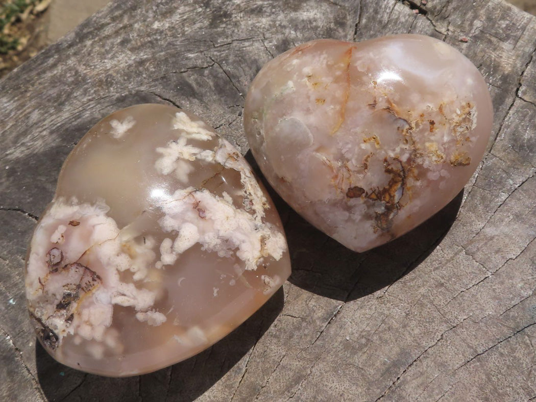 Polished Coral Flower Agate Hearts x 6 From Madagascar - TopRock