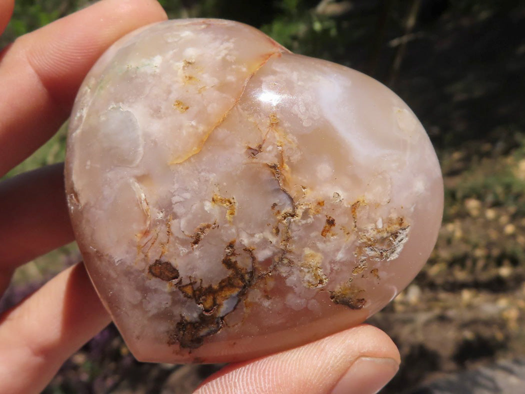Polished Coral Flower Agate Hearts x 6 From Madagascar - TopRock