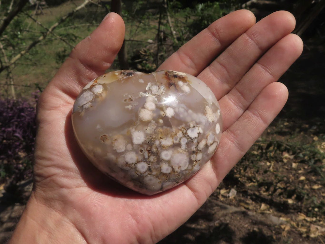 Polished Coral Flower Agate Hearts x 6 From Madagascar - TopRock