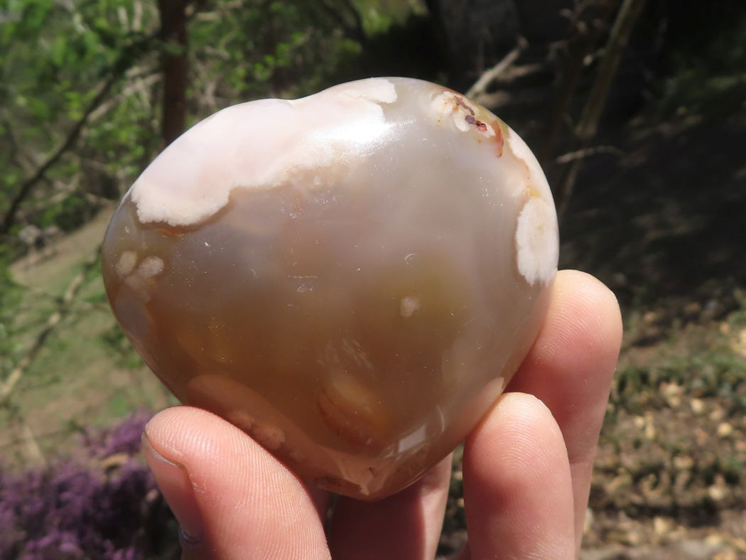 Polished Coral Flower Agate Hearts x 6 From Madagascar - TopRock