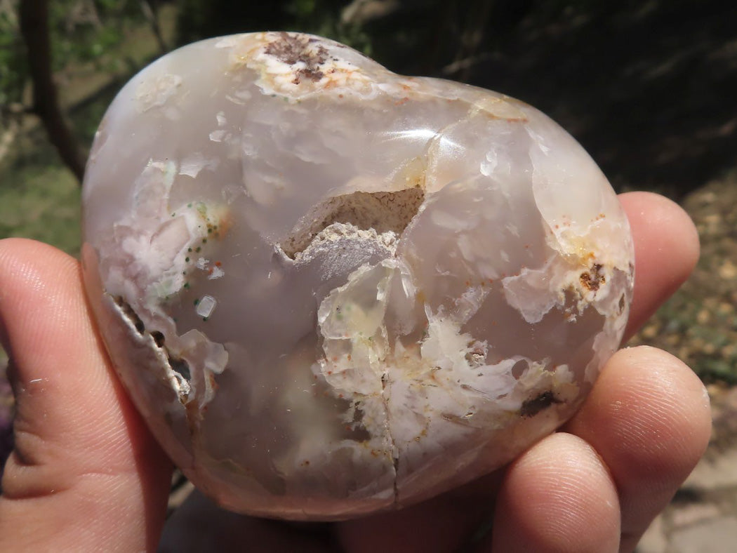 Polished Coral Flower Agate Hearts x 6 From Madagascar - TopRock