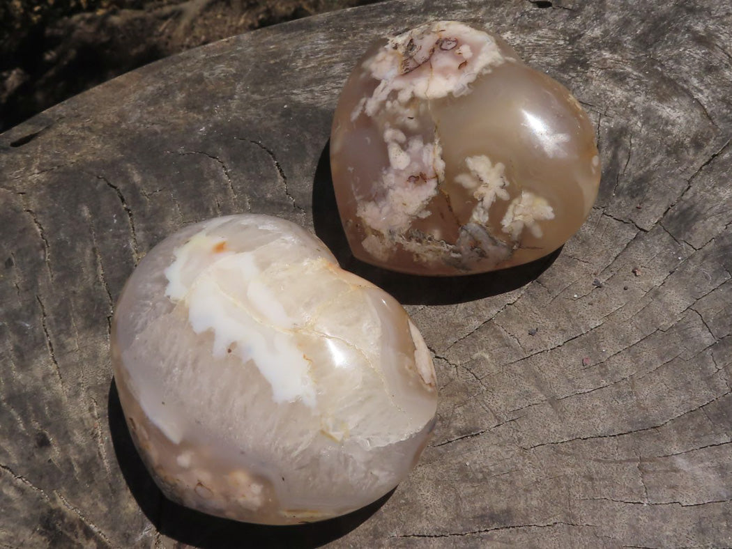 Polished Coral Flower Agate Hearts x 6 From Madagascar - TopRock