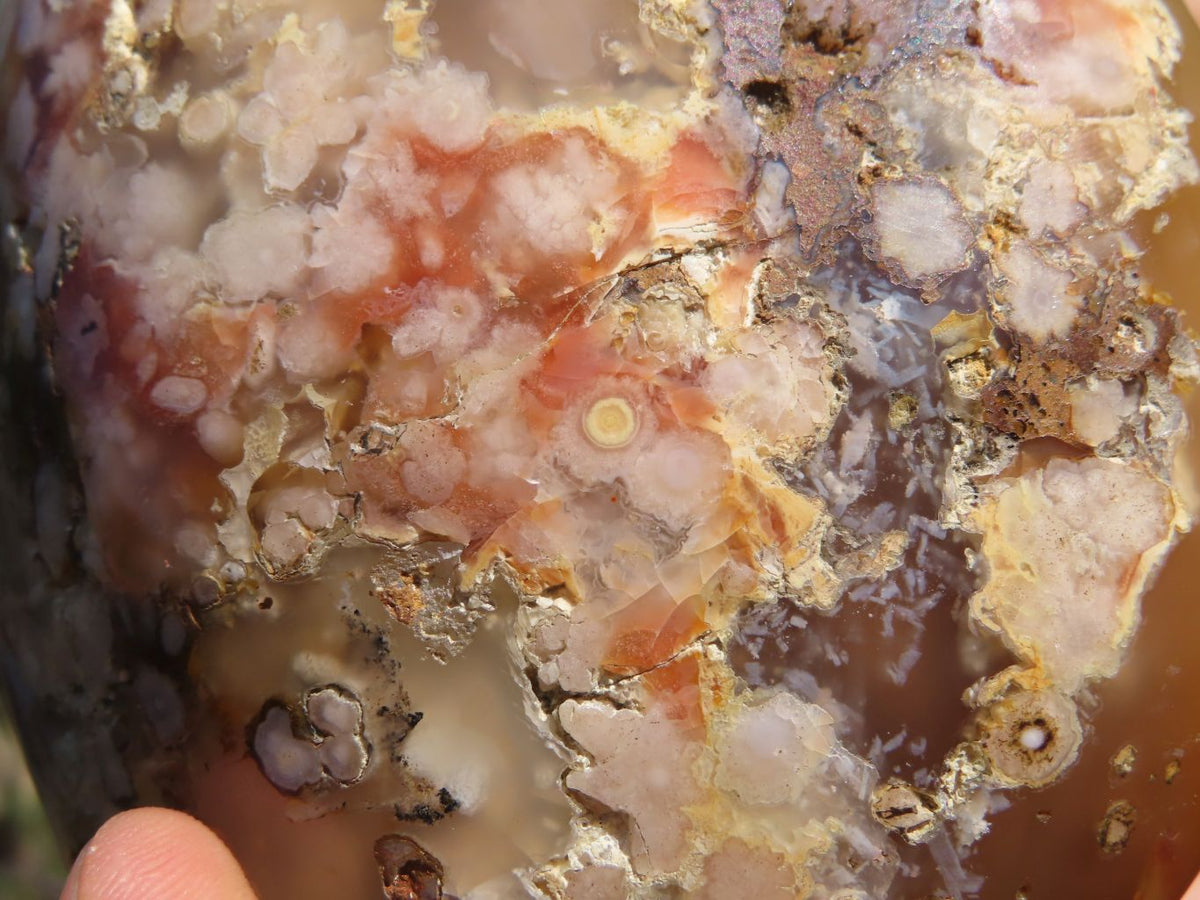 Polished Coral Flower Agate Standing Free Forms With Natural Crystalline Vugs x 2 From Madagascar - TopRock