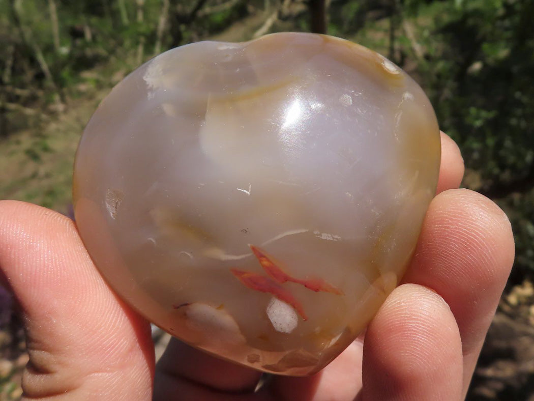 Polished Coral Flower Agate Hearts x 6 From Madagascar - TopRock