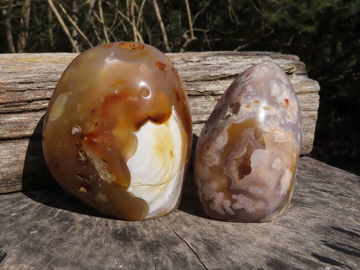 Polished Coral Flower Agate Standing Free Forms With Natural Crystalline Vugs x 2 From Madagascar - TopRock