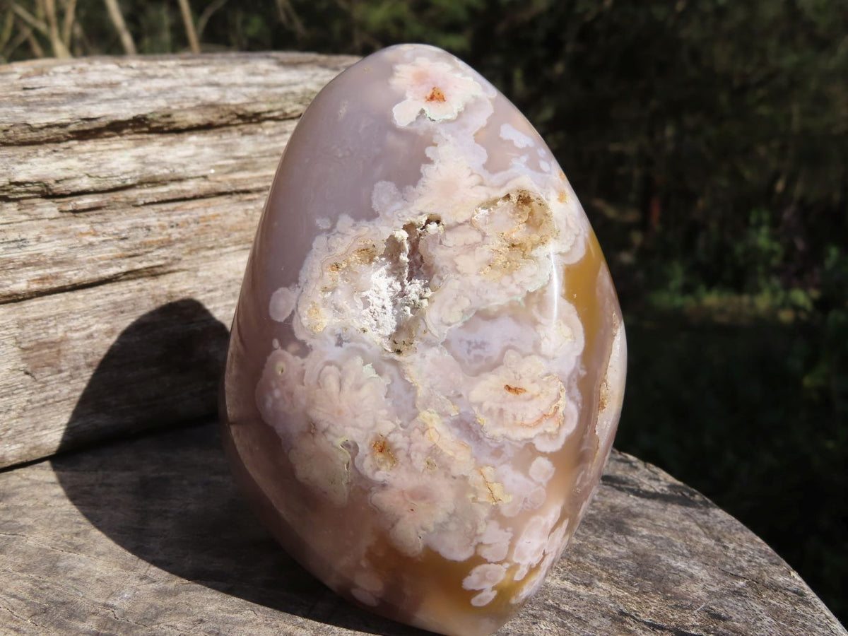 Polished Coral Flower Agate Standing Free Forms With Natural Crystalline Vugs x 2 From Madagascar - TopRock