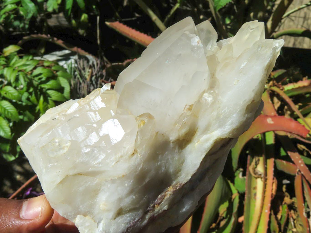 Natural Zimbabwe Quartz Crystal Clusters x 3 From Zimbabwe - TopRock
