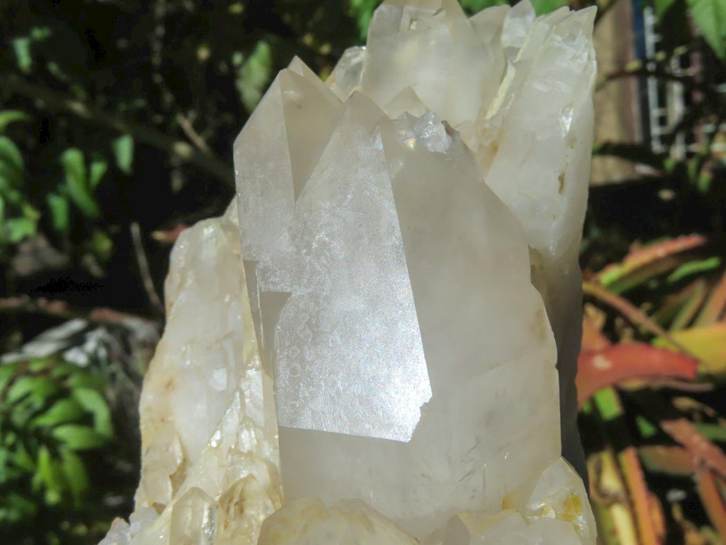 Natural Zimbabwe Quartz Crystal Clusters x 3 From Zimbabwe - TopRock