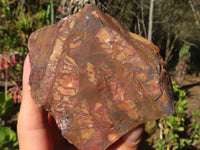 Natural Rough Nguni Jasper Cutting Material  x 4 From Northern Cape, South Africa - Toprock Gemstones and Minerals