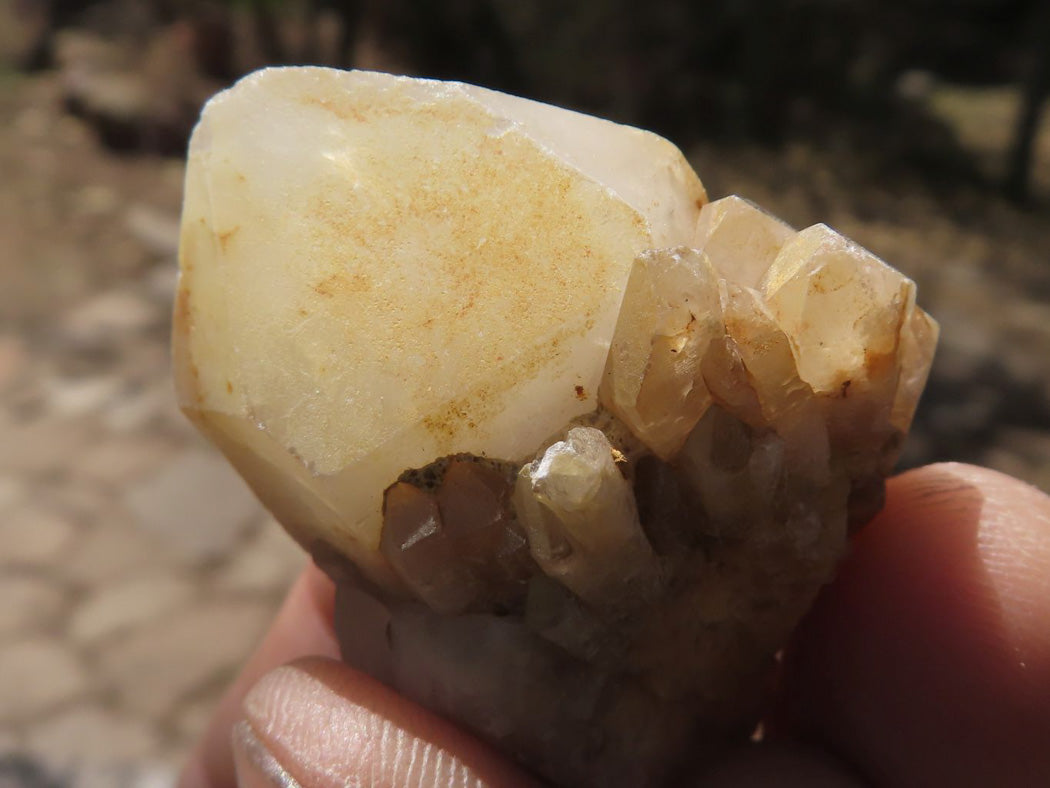 Natural Single Pineapple Quartz Crystals x 70 From Antsirabe, Madagascar - TopRock