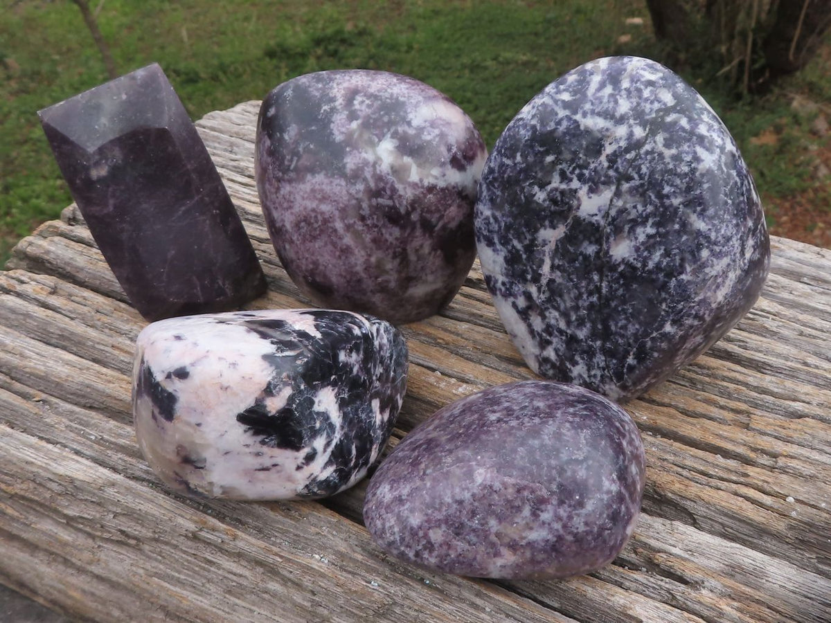 Polished Dark Purple Lepidolite Free Forms x 5 From Zimbabwe - TopRock