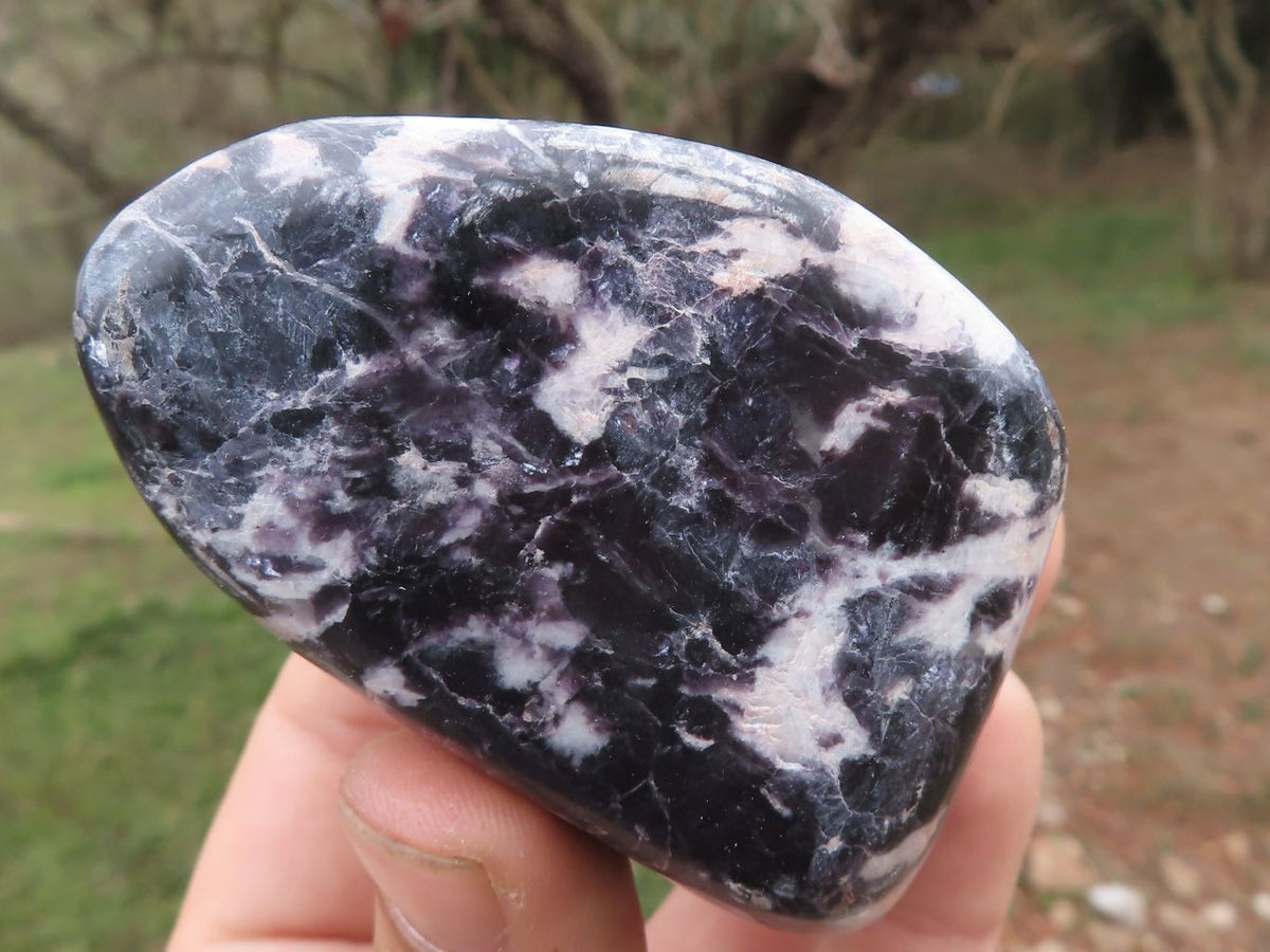 Polished Dark Purple Lepidolite Free Forms x 5 From Zimbabwe - TopRock