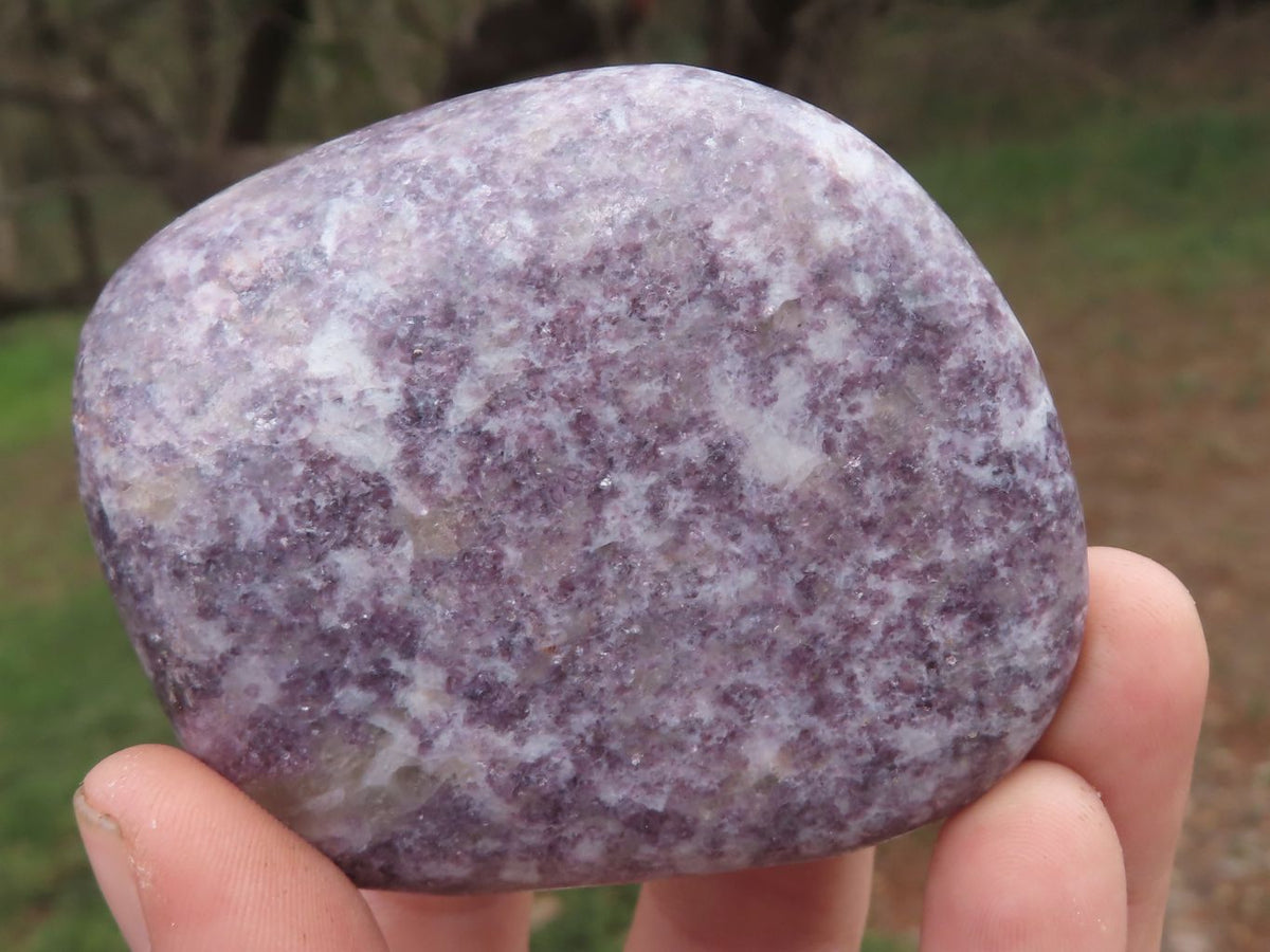 Polished Dark Purple Lepidolite Free Forms x 5 From Zimbabwe - TopRock