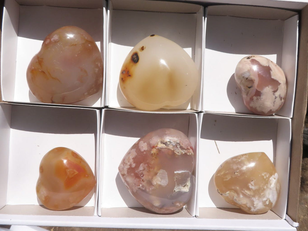 Polished Coral Flower Agate Hearts x 6 From Antsahalova, Madagascar - TopRock