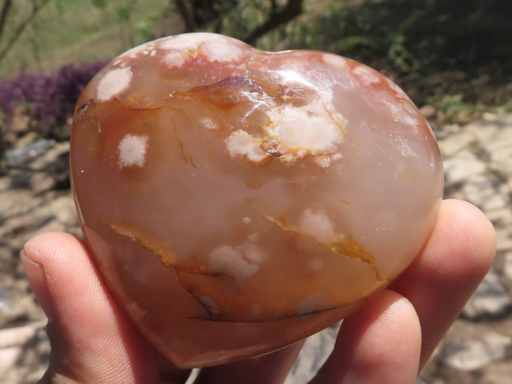 Polished Coral Flower Agate Hearts x 6 From Antsahalova, Madagascar - TopRock