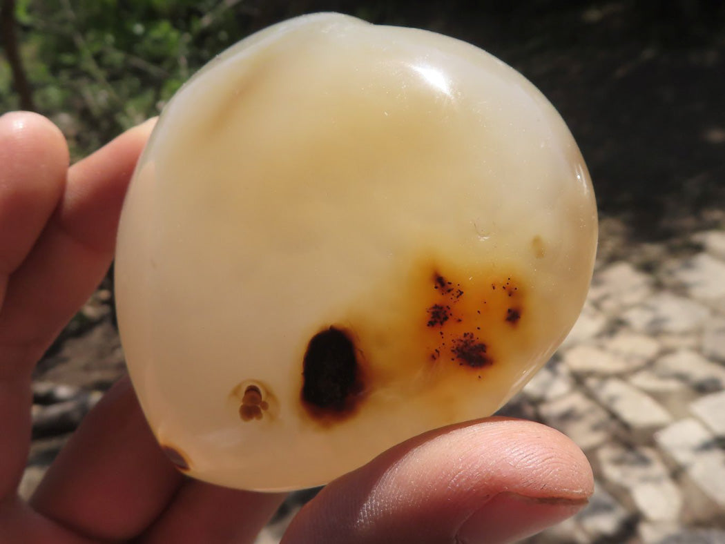 Polished Coral Flower Agate Hearts x 6 From Antsahalova, Madagascar - TopRock