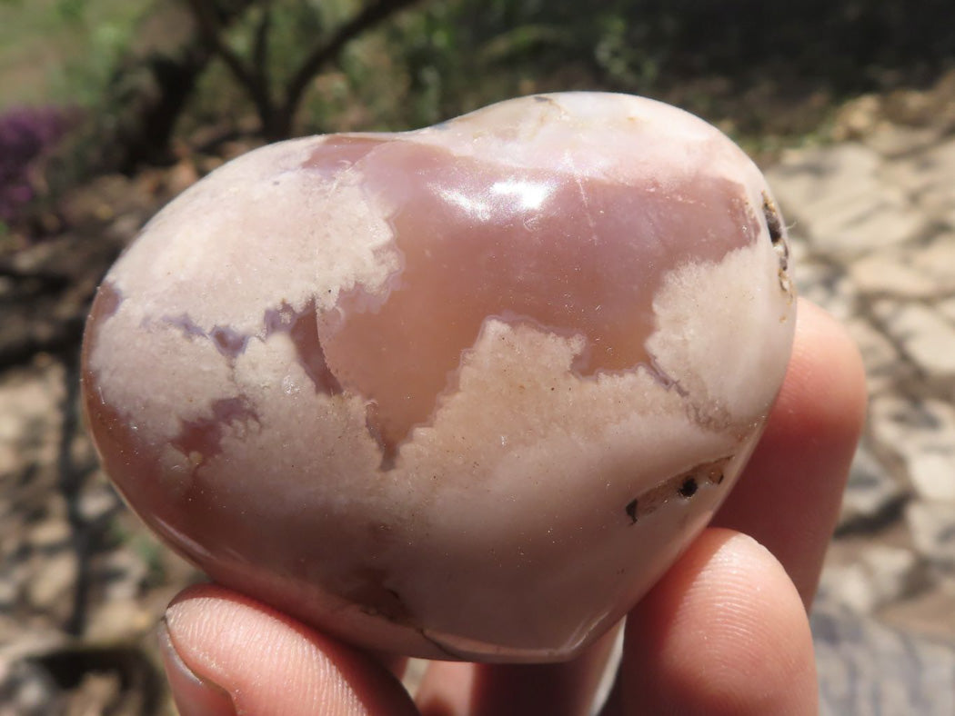 Polished Coral Flower Agate Hearts x 6 From Antsahalova, Madagascar - TopRock