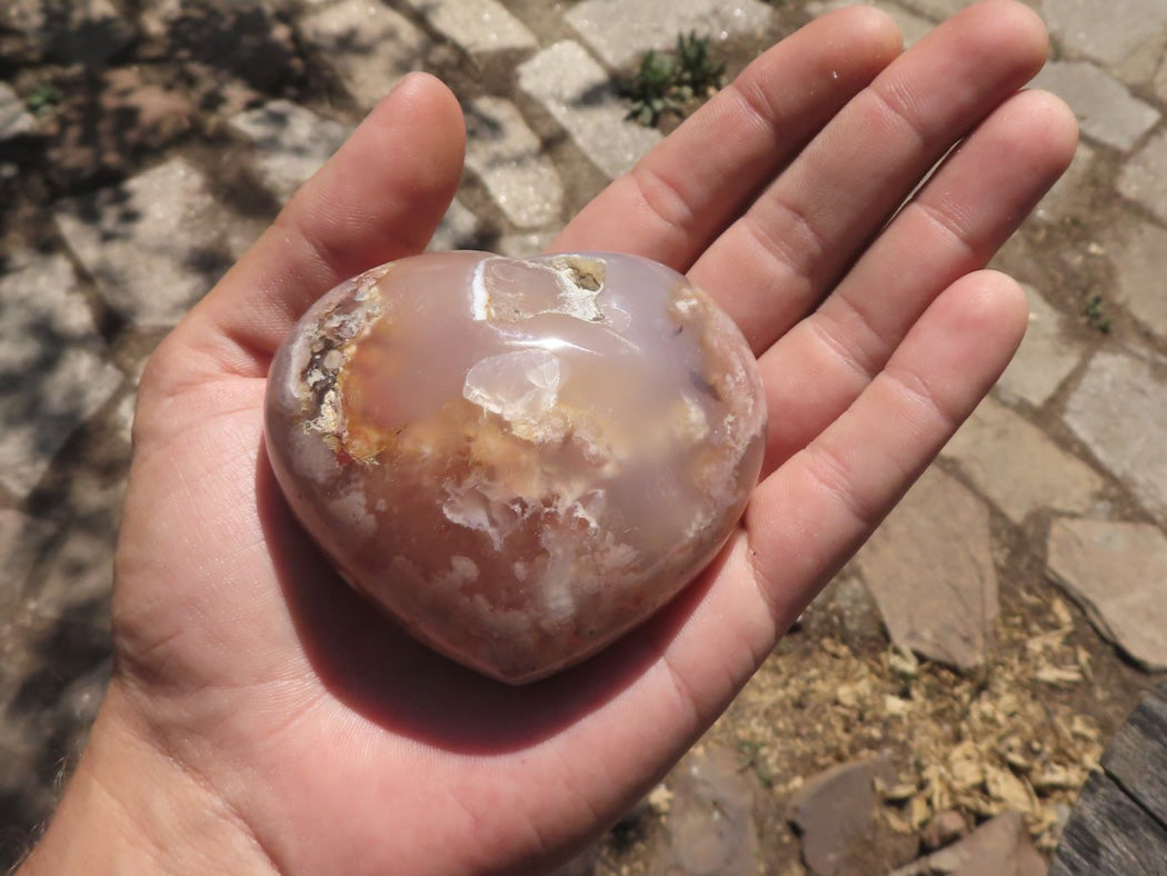 Polished Coral Flower Agate Hearts x 6 From Antsahalova, Madagascar - TopRock