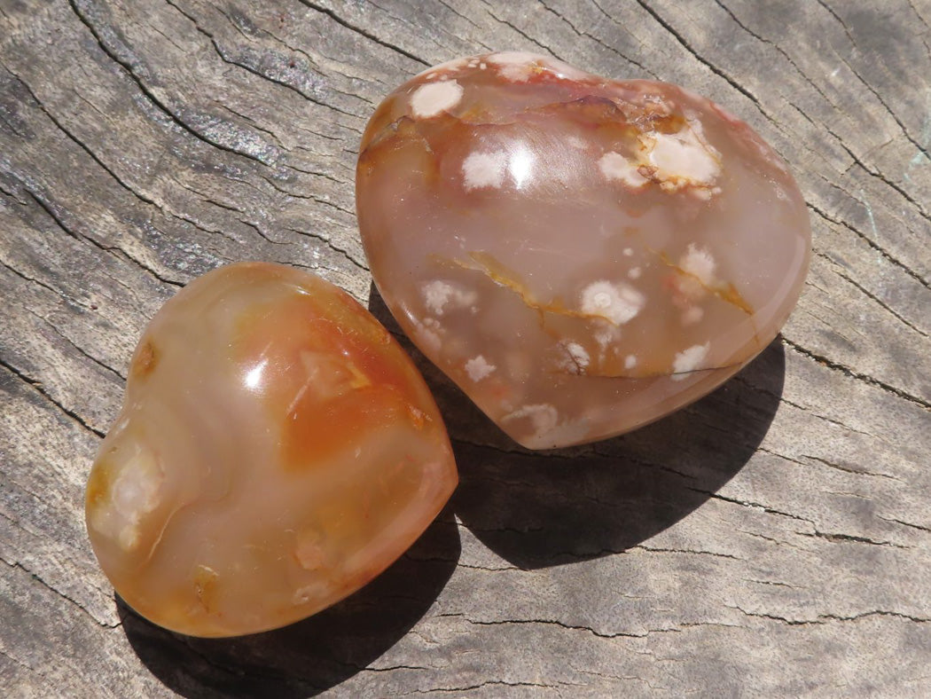 Polished Coral Flower Agate Hearts x 6 From Antsahalova, Madagascar - TopRock