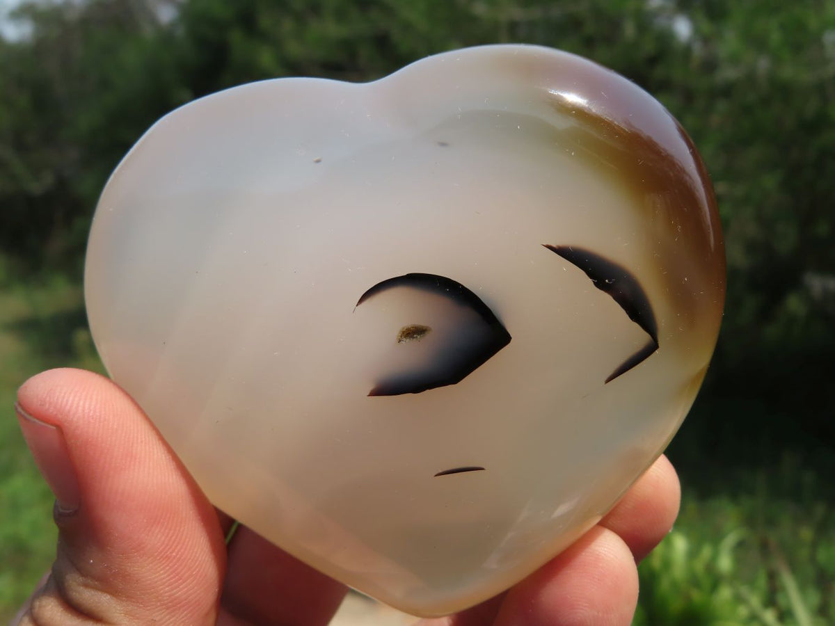 Polished Agate Hearts x 6 From Madagascar - TopRock