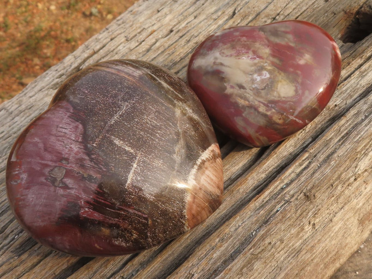 Polished Petrified Red Podocarpus Wood Hearts x 2 From Mahajanga, Madagascar - TopRock