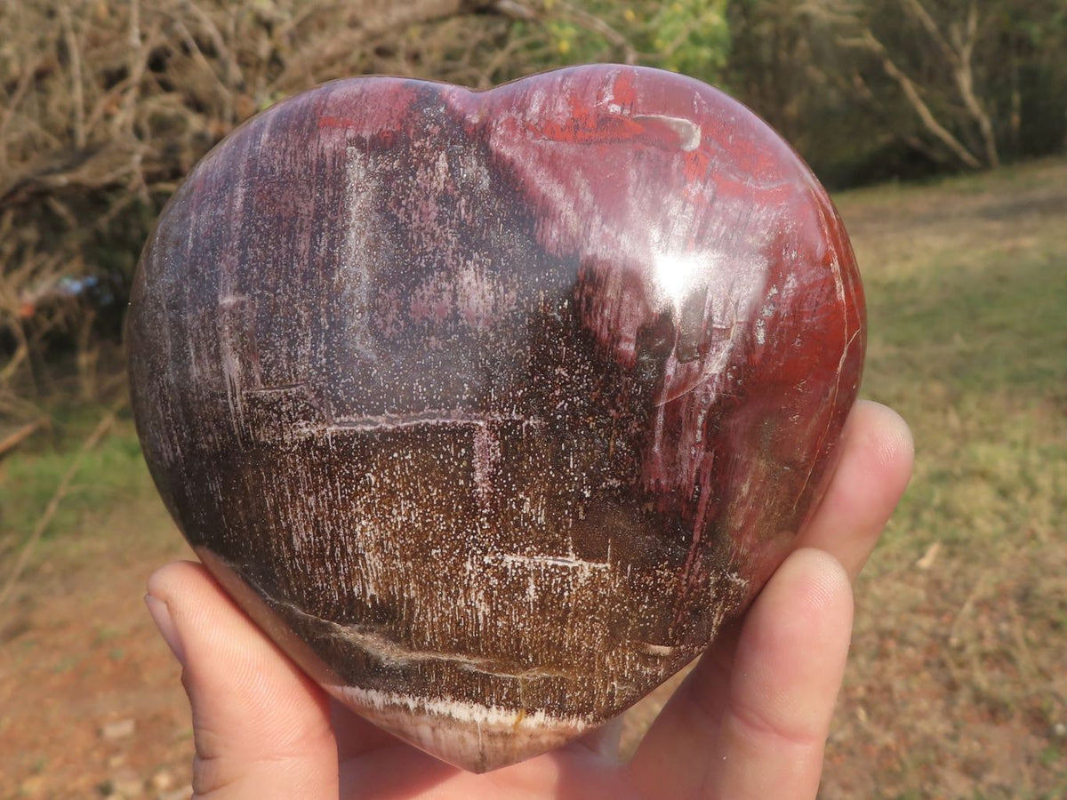 Polished Petrified Red Podocarpus Wood Hearts x 2 From Mahajanga, Madagascar - TopRock