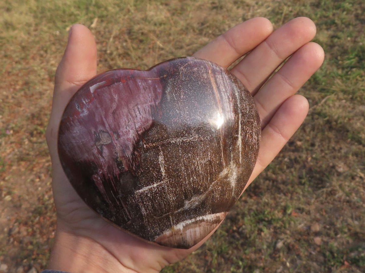 Polished Petrified Red Podocarpus Wood Hearts x 2 From Mahajanga, Madagascar - TopRock