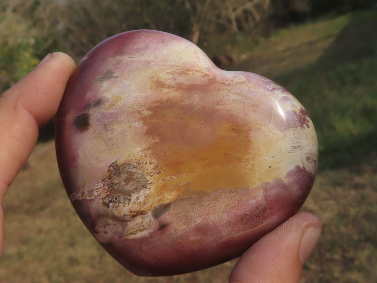 Polished Petrified Red Podocarpus Wood Hearts x 2 From Mahajanga, Madagascar - TopRock