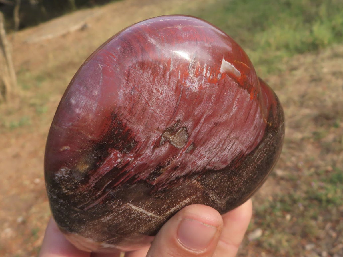Polished Petrified Red Podocarpus Wood Hearts x 2 From Mahajanga, Madagascar - TopRock