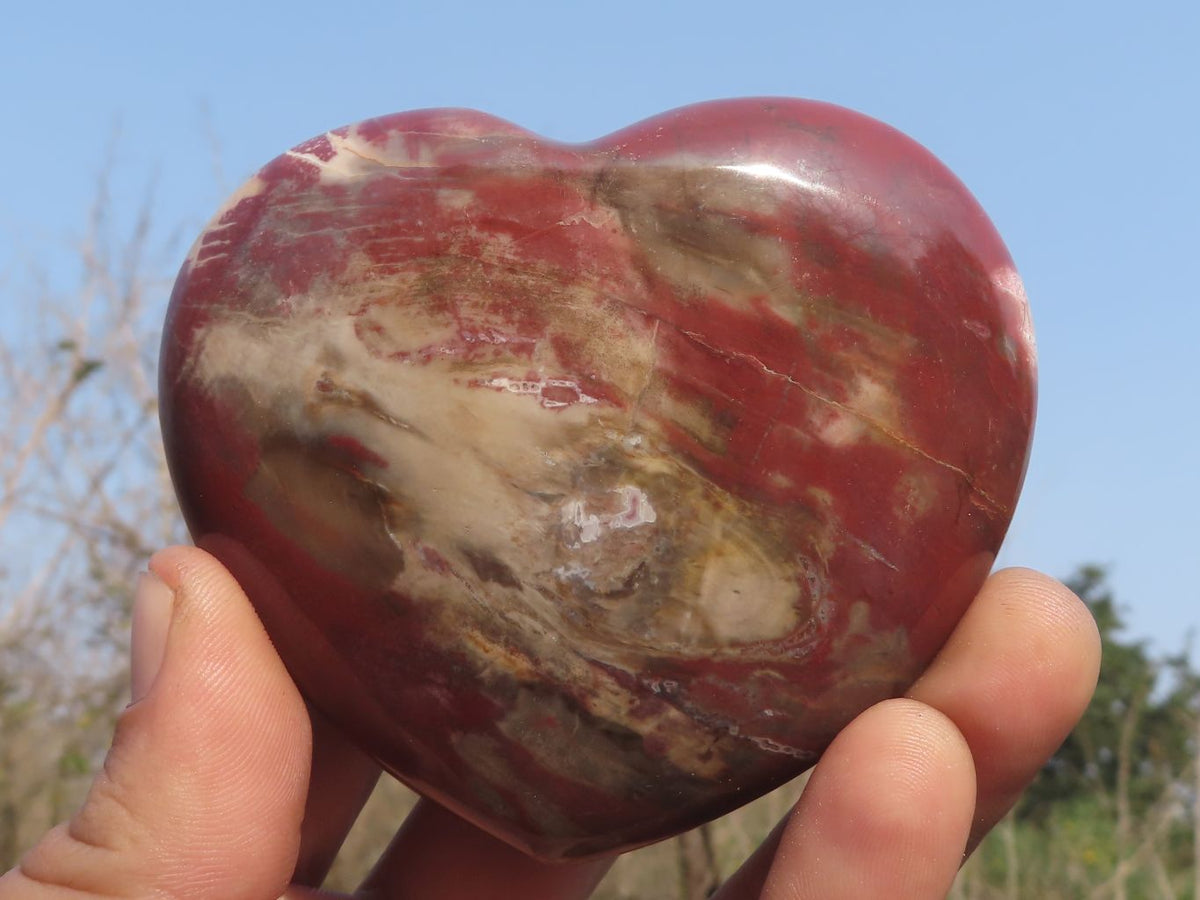 Polished Petrified Red Podocarpus Wood Hearts x 2 From Mahajanga, Madagascar - TopRock