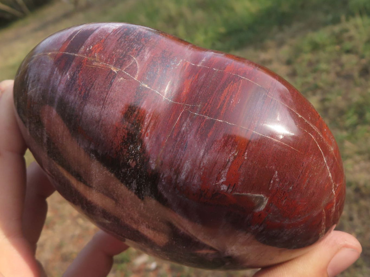 Polished Petrified Red Podocarpus Wood Hearts x 2 From Mahajanga, Madagascar - TopRock