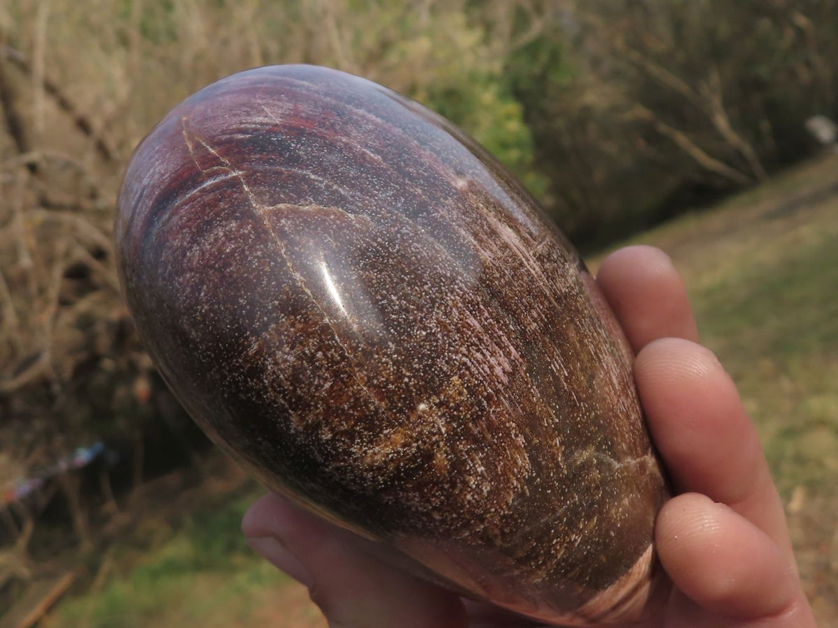 Polished Petrified Red Podocarpus Wood Hearts x 2 From Mahajanga, Madagascar - TopRock