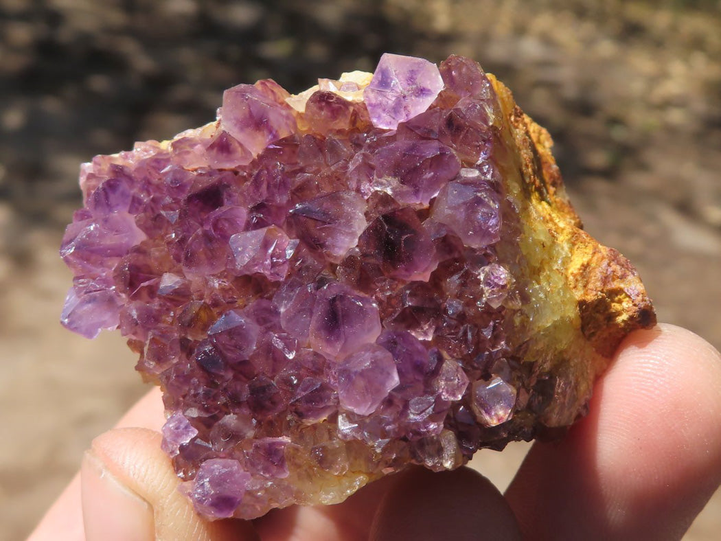 Natural Mini Lovely Dark "Amethystos" Amethyst Clusters x 35 From Kwaggafontein, South Africa - TopRock