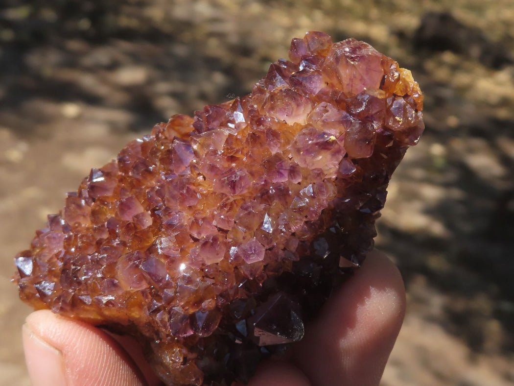 Natural Mini Lovely Dark "Amethystos" Amethyst Clusters x 35 From Kwaggafontein, South Africa - TopRock