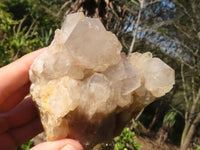 Natural White Phantom Smokey Quartz Clusters  x 2 From Luena, Congo - Toprock Gemstones and Minerals