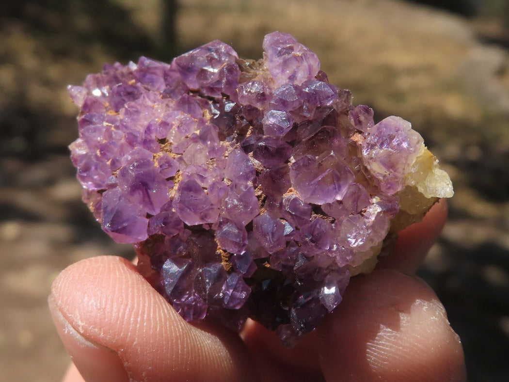 Natural Mini Lovely Dark "Amethystos" Amethyst Clusters x 35 From Kwaggafontein, South Africa - TopRock