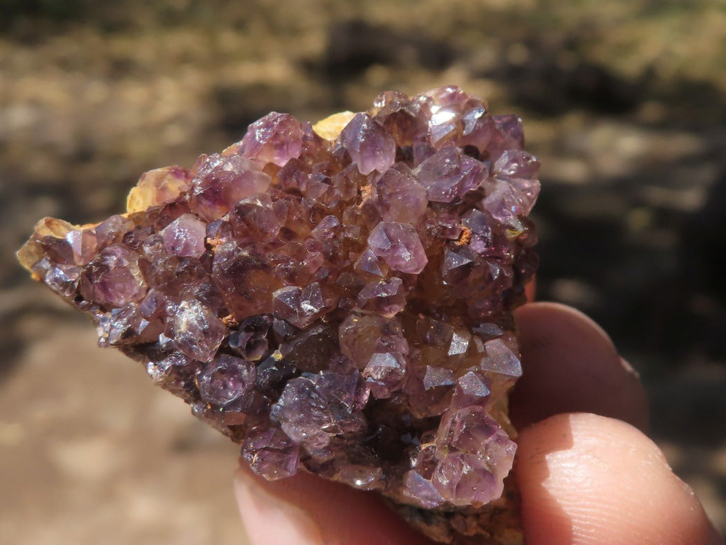Natural Mini Lovely Dark "Amethystos" Amethyst Clusters x 35 From Kwaggafontein, South Africa - TopRock