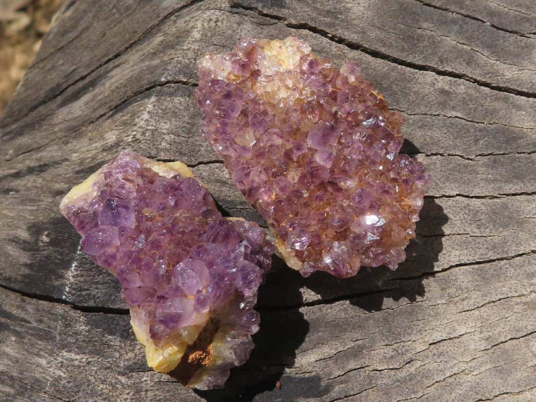 Natural Mini Lovely Dark "Amethystos" Amethyst Clusters x 35 From Kwaggafontein, South Africa - TopRock