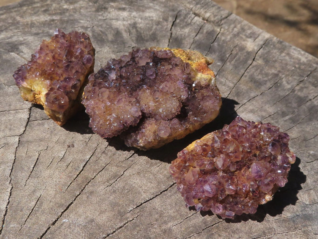 Natural Mini Lovely Dark "Amethystos" Amethyst Clusters x 35 From Kwaggafontein, South Africa - TopRock