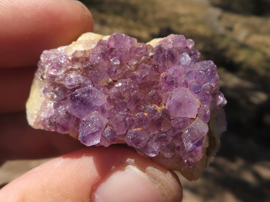 Natural Mini Lovely Dark "Amethystos" Amethyst Clusters x 35 From Kwaggafontein, South Africa - TopRock