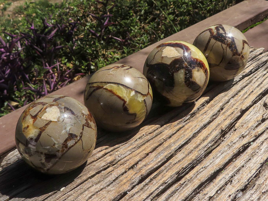 Polished Septarian (Calcite & Aragonite) Spheres x 4 From Mahajanga, Madagascar - TopRock