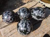 Polished Merlinite Gabbro Spheres  x 4 From Ambatondrazaka, Madagascar - Toprock Gemstones and Minerals
