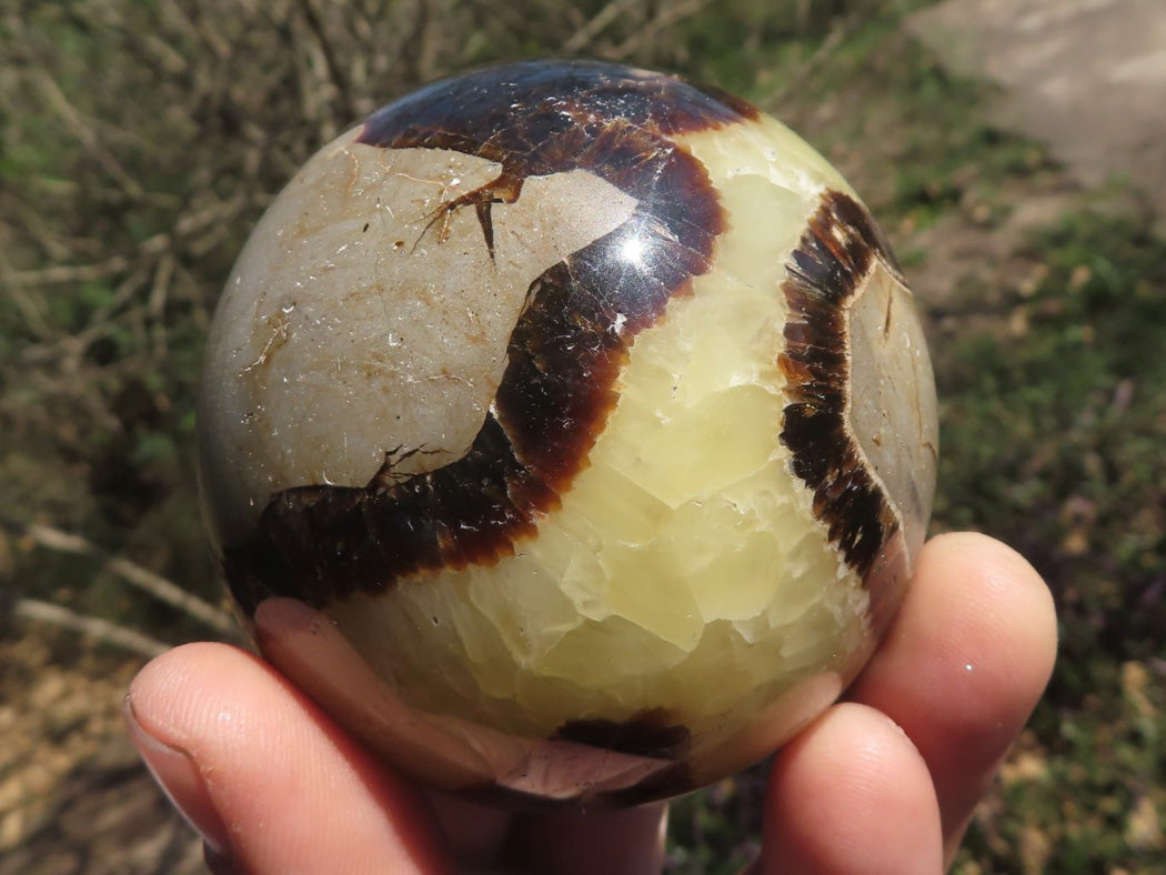 Polished Septarian (Calcite & Aragonite) Spheres x 4 From Mahajanga, Madagascar - TopRock