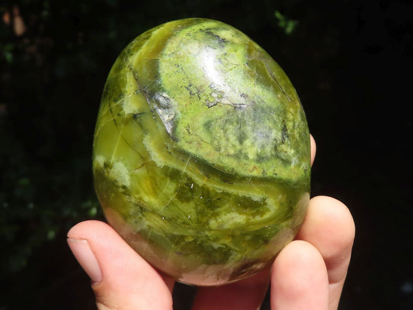 Polished Extra Large Green Opal Palm Stones  x 6 From Madagascar - TopRock